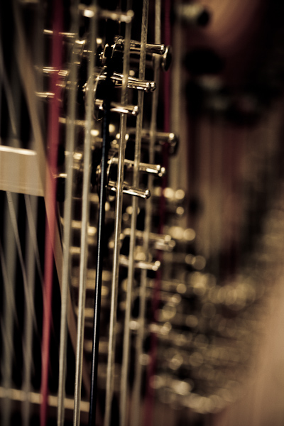 Harp Festival (7 of 54).jpg